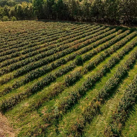 Malinowy Dworek - Spokojny Wypoczynek Nad Morzem *